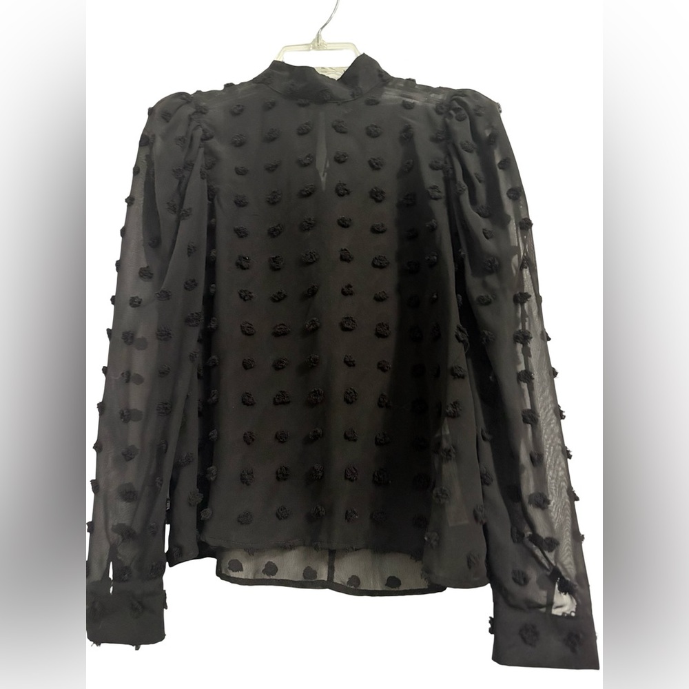 NWT Zara Black Classy Shirt with Sheer Long Sleeves. Great for the holidays!
